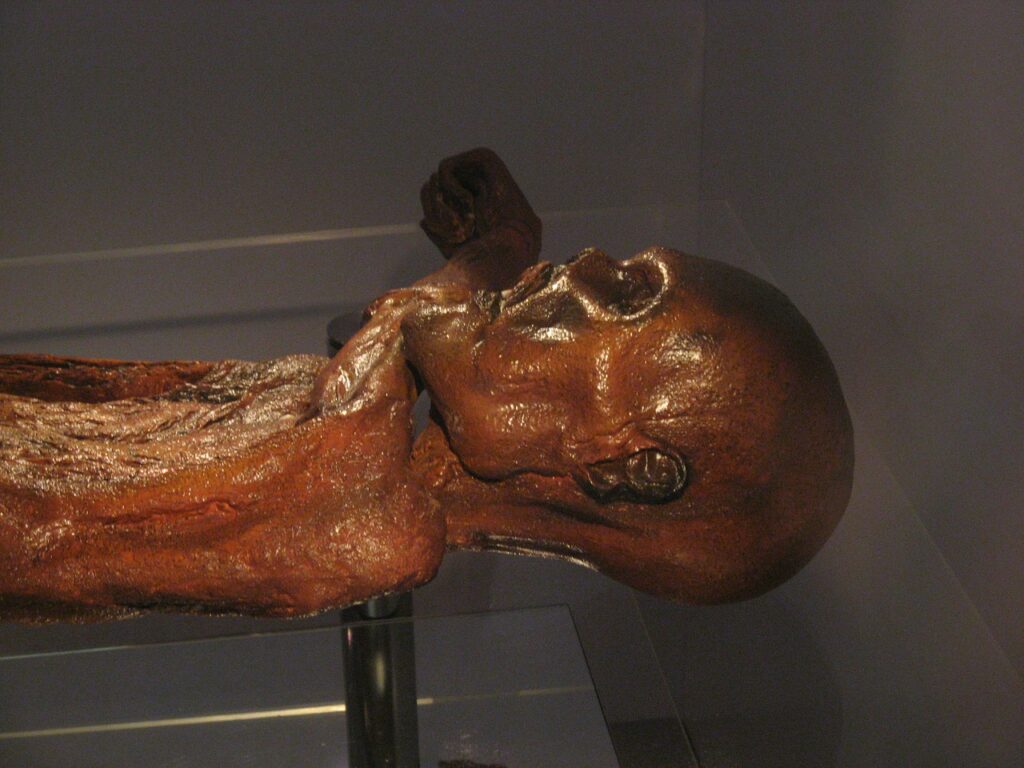 La Momie d'Ötzi