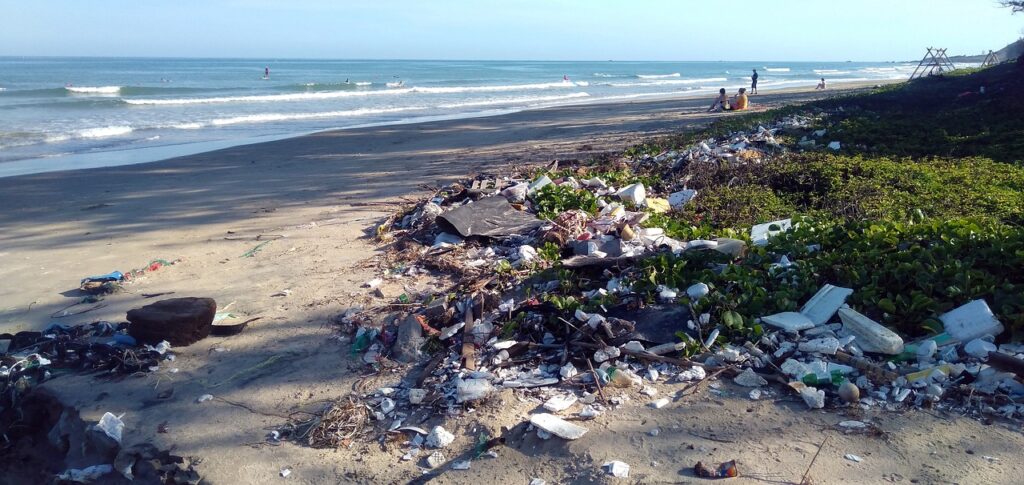 Des déchets plastiques au bord d'une plage